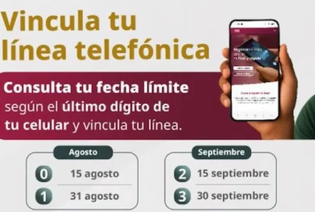 Vencida la nueva fecha límite, las compañías telefónicas suspenderán el servicio de las líneas celulares no vinculadas