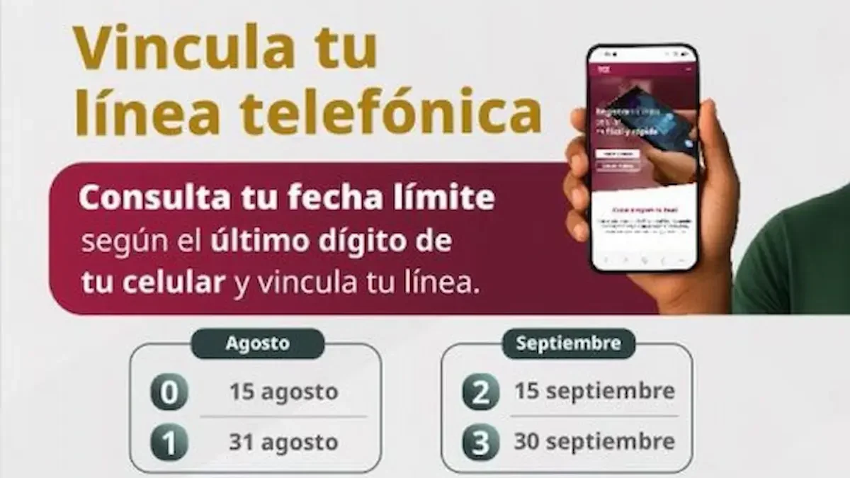 Vencida la nueva fecha límite, las compañías telefónicas suspenderán el servicio de las líneas celulares no vinculadas
