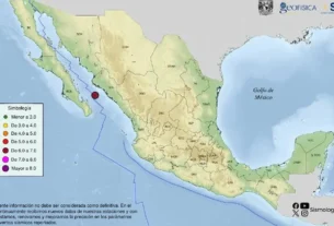 La Coordinación Nacional de Protección Civil informó que, de acuerdo con el centro de alerta de la Secretaría de Marina, no existen variaciones importantes en el nivel del mar que pudieran detonar un tsunami en las costas de Sinaloa.