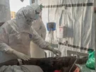 Las autoridades sanitarias iniciaron el rastreo de contactos del paciente, quienes deberán permanecer en aislamiento domiciliario durante 21 días bajo supervisión médica.