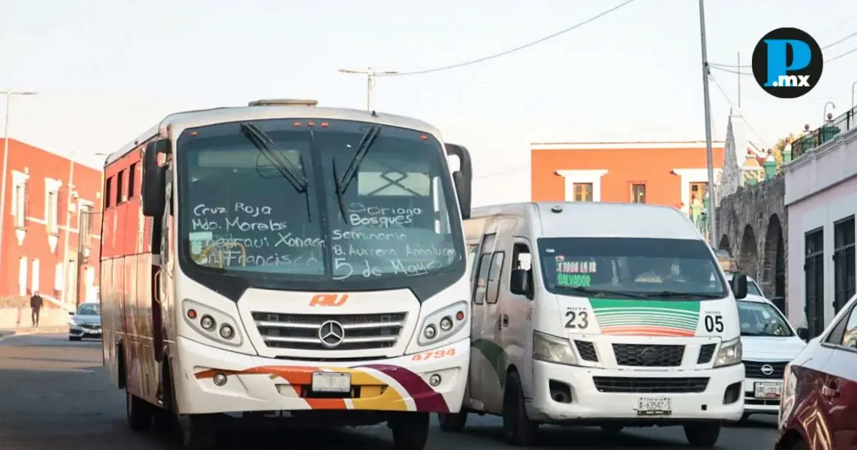 trasporte publico