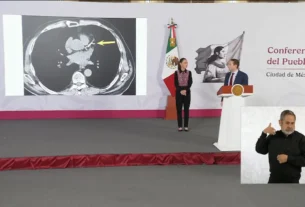 La presidenta expresó su rechazo a que funcionarios políticos busquen que sus familiares participen en las elecciones 2027