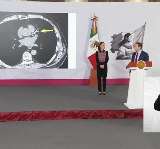 La presidenta expresó su rechazo a que funcionarios políticos busquen que sus familiares participen en las elecciones 2027