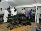 Se han identificado 251 cuerpos, del total de 386 encontrados en el crematorio