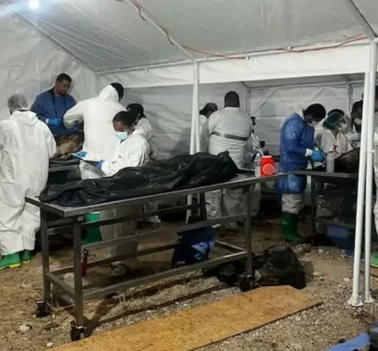 Se han identificado 251 cuerpos, del total de 386 encontrados en el crematorio
