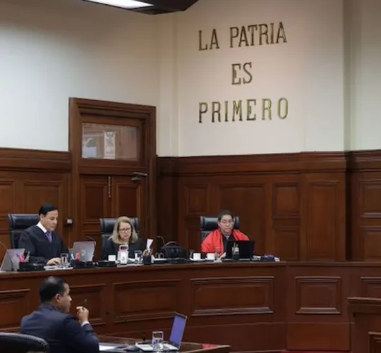 La paciente acusó que imponer la “muerte natural” como única forma jurídicamente válida de morir atenta contra el derecho a la autonomía y el desarrollo de la libre personalidad.