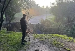 Parte afectada por el socavón en la ciclovía en el Parque Metropolitano