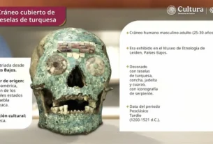 cráneo cubierto de piezas color turquesa de la cultura mixteca, que era exhibido en el Museo de Etnología de Leiden, en los Países Bajos.