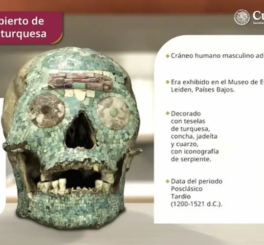 cráneo cubierto de piezas color turquesa de la cultura mixteca, que era exhibido en el Museo de Etnología de Leiden, en los Países Bajos.