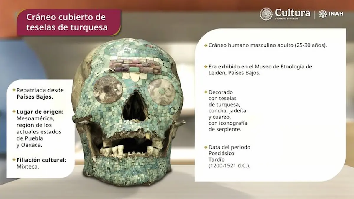 cráneo cubierto de piezas color turquesa de la cultura mixteca, que era exhibido en el Museo de Etnología de Leiden, en los Países Bajos.