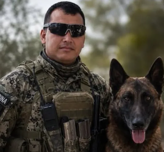 Los Chapitos atacaron a personal naval en Mazatlán, hecho en el que un marino murió