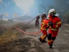 En Portugal, los bomberos luchan seis incendios forestales