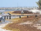 Toneladas de sargazo a las playas de Quintana Roo