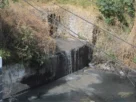 Río Atoyac se ve afectado por diferentes empresas textiles de Puebla y Tlaxcala