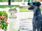 Adopta Fest llega a Puebla