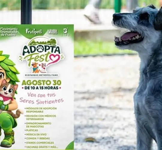 Adopta Fest llega a Puebla