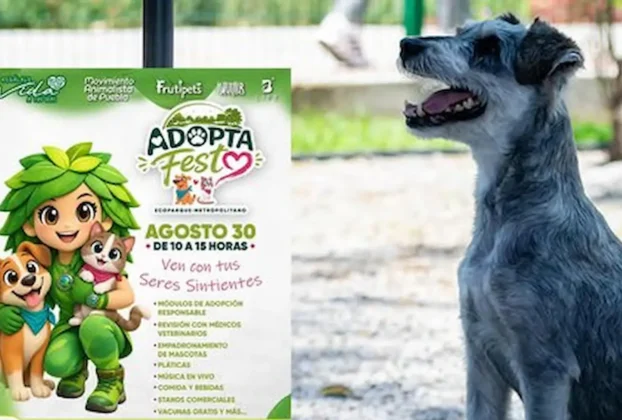 Adopta Fest llega a Puebla