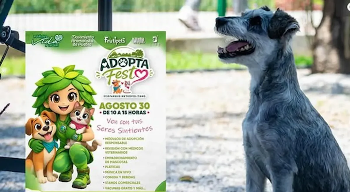 Adopta Fest llega a Puebla