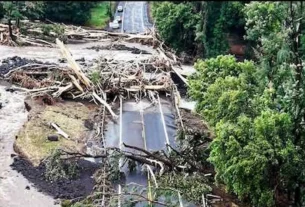 Caminos bloqueados por arboles que cayeron por le paso del huracán