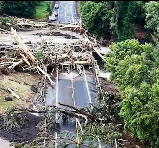 Caminos bloqueados por arboles que cayeron por le paso del huracán