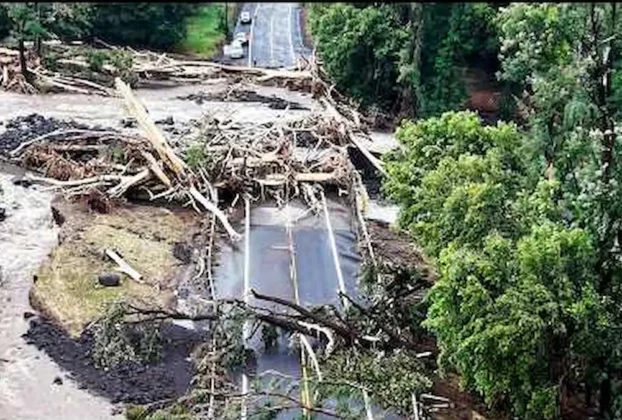 Caminos bloqueados por arboles que cayeron por le paso del huracán