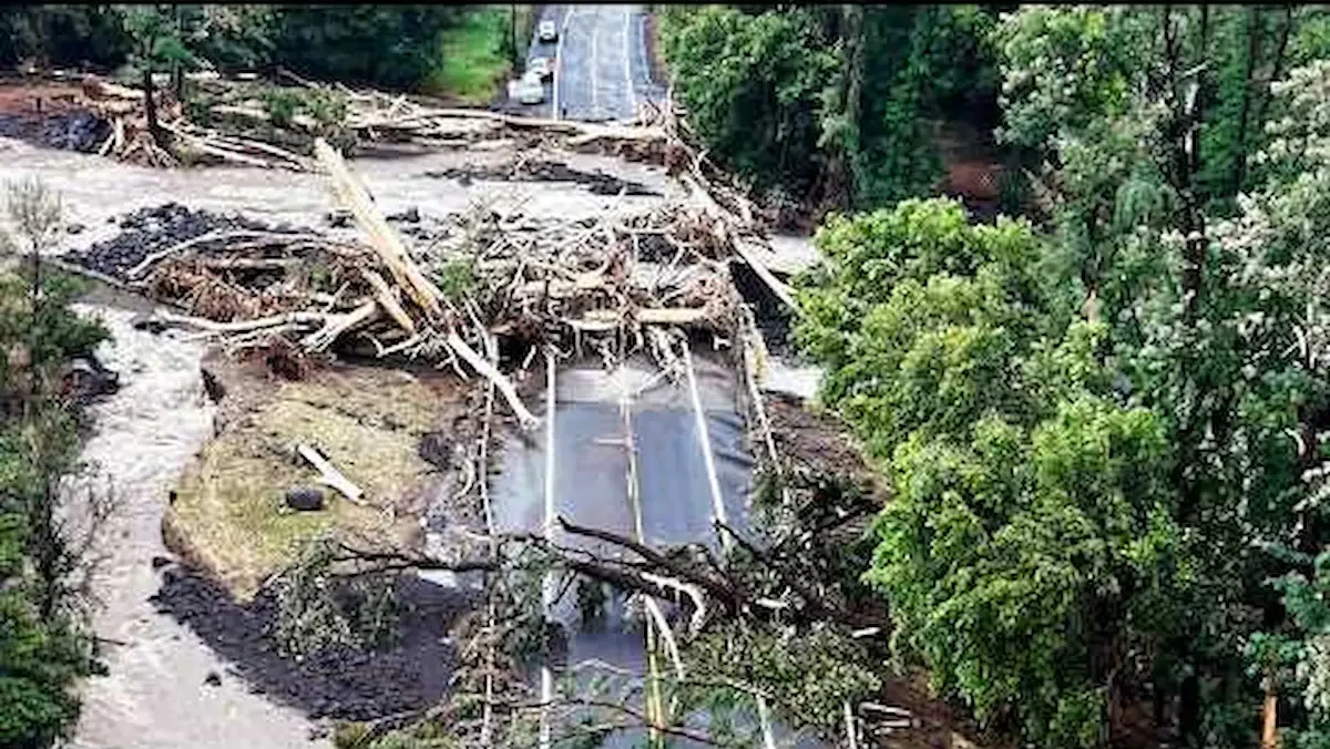 Caminos bloqueados por arboles que cayeron por le paso del huracán