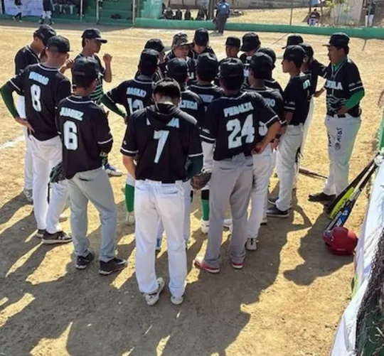 Liga infantil de Béisbol
