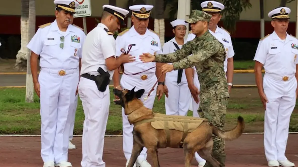 La Marina reconoce trayectoria “Hermes” binomio canino en Manzanillo