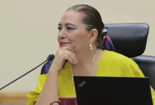 Consejera presidenta del Instituto Nacional Electoral (INE), Guadalupe Taddei Zavala