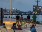 Puerto de Veracruz