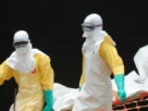 La muerte de un hombre en Francia con el shamonda constituye la primera detección documentada de este virus en una persona
