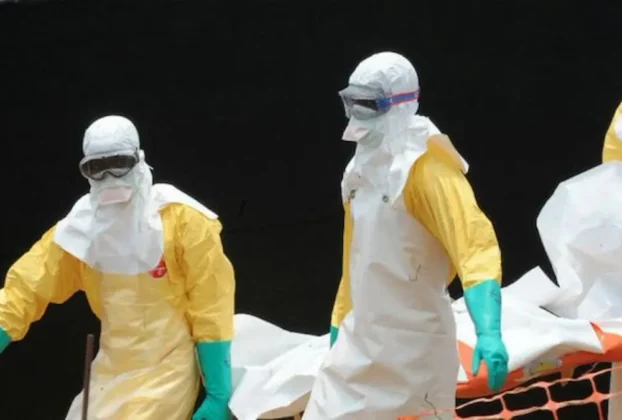 La muerte de un hombre en Francia con el shamonda constituye la primera detección documentada de este virus en una persona