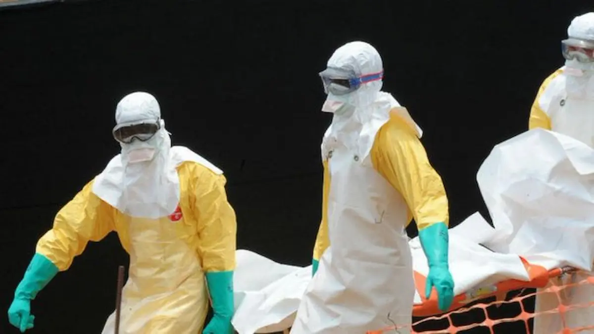 La muerte de un hombre en Francia con el shamonda constituye la primera detección documentada de este virus en una persona