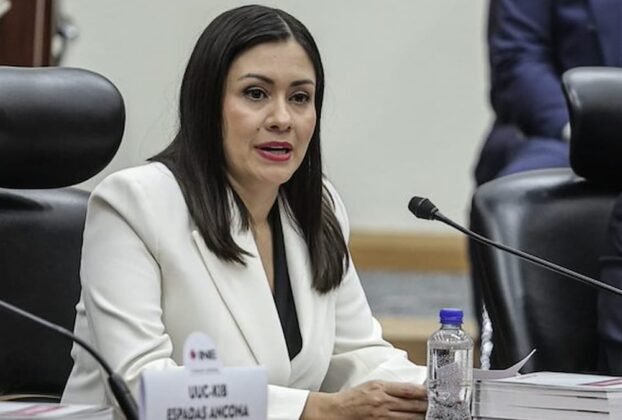 Blanca Yassahara Cruz García fue nombrada por sus compañeros como presidenta provisional del Instituto Nacional Electoral (INE)