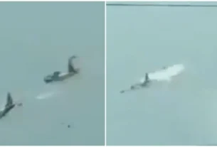 Las aeronaves de combate chocaron durante un entrenamiento en la base aérea de Fernando.